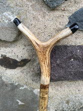 Load image into Gallery viewer, Hazel Wood Antler Handle Wading Staff Stick