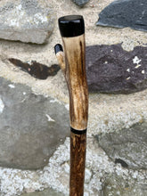 Load image into Gallery viewer, Hazel Wood Thumbstick with Antler Handle (Q)