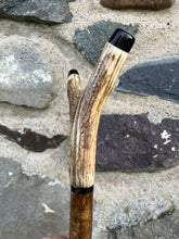 Load image into Gallery viewer, Hazel wood antler handled, handmade wooden walking sticks thumbsticks hiking sticks by Helen Elizabeth Studios