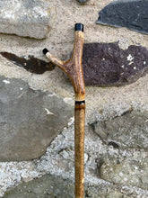 Load image into Gallery viewer, Hazel wood antler handled, handmade wooden walking sticks thumbsticks hiking sticks by Helen Elizabeth Studios