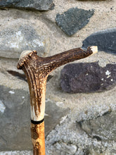 Load image into Gallery viewer, Hazel wood antler handled, handmade wooden walking sticks thumbsticks hiking sticks by Helen Elizabeth Studios