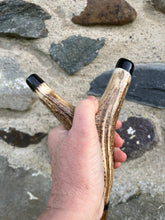 Load image into Gallery viewer, Hazel wood antler handled, handmade wooden walking sticks thumbsticks hiking sticks by Helen Elizabeth Studios