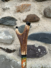 Load image into Gallery viewer, Two foxes- Hand Painted Hazel Antler Handled Thumbstick