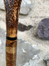 Load image into Gallery viewer, Hazel wood antler handled, handmade wooden walking sticks thumbsticks hiking sticks by Helen Elizabeth Studios