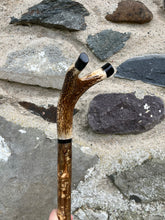 Load image into Gallery viewer, Hazel wood antler handled, handmade wooden walking sticks thumbsticks hiking sticks by Helen Elizabeth Studios