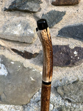Load image into Gallery viewer, Hazel wood antler handled, handmade wooden walking sticks thumbsticks hiking sticks by Helen Elizabeth Studios