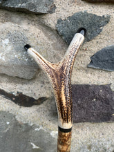 Load image into Gallery viewer, Hazel Wood Antler Handle Wading Staff Stick