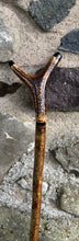 Load image into Gallery viewer, Hazel Wood Thumbstick with Antler Handle (A)