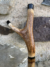 Load image into Gallery viewer, Hazel wood antler handled, handmade wooden walking sticks thumbsticks hiking sticks by Helen Elizabeth Studios
