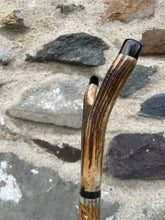 Load image into Gallery viewer, Red Squirrels - Hand Painted Hazel Antler Topped Hazel Wood Thumbstick