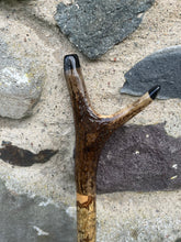 Load image into Gallery viewer, Hazel Wood Antler Handle Wading Staff Stick
