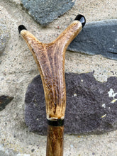 Load image into Gallery viewer, Hazel wood antler handled, handmade wooden walking sticks thumbsticks hiking sticks by Helen Elizabeth Studios