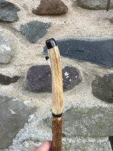 Load image into Gallery viewer, Hazel Wood Antler Handle Wading Staff Stick