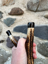Load image into Gallery viewer, Roaring Stag in the Wilds Hand Painted Hazel Antler Handled Thumbstick