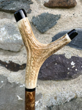 Load image into Gallery viewer, Hazel wood antler handled, handmade wooden walking sticks thumbsticks hiking sticks by Helen Elizabeth Studios