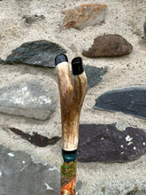 Load image into Gallery viewer, Two foxes- Hand Painted Hazel Antler Handled Thumbstick
