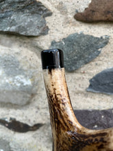 Load image into Gallery viewer, Puffins on the Rocks. Hand Painted Hazel Antler Handled Thumbstick
