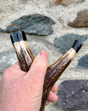 Load image into Gallery viewer, Swans on lake Painted on Antler Handle Hazel Thumbstick by Helen Elizabeth StudiosHelen