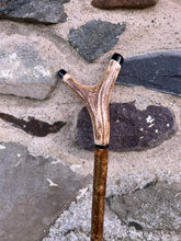 Load image into Gallery viewer, Hazel wood antler handled, handmade wooden walking sticks thumbsticks hiking sticks by Helen Elizabeth Studios
