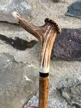 Load image into Gallery viewer, Hazel wood antler handled, handmade wooden walking sticks thumbsticks hiking sticks by Helen Elizabeth Studios