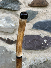 Load image into Gallery viewer, Hazel wood antler handled, handmade wooden walking sticks thumbsticks hiking sticks by Helen Elizabeth Studios