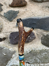 Load image into Gallery viewer, Kingfisher Hand Painted on Antler Handle Hazel Thumbstick by Helen Elizabeth Studios