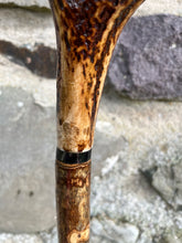 Load image into Gallery viewer, Hazel wood antler handled, handmade wooden walking sticks thumbsticks hiking sticks by Helen Elizabeth Studios
