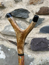 Load image into Gallery viewer, Red squirrel hand painted antler handle Thumbstick hiking stick country stick by Helen Elizabeth Studios