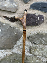 Load image into Gallery viewer, Hazel wood antler handled, handmade wooden walking sticks thumbsticks hiking sticks country walking stick by Helen Elizabeth Studios