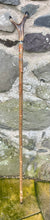 Load image into Gallery viewer, Red squirrel hand painted antler handle Thumbstick hiking stick country stick by Helen Elizabeth Studios