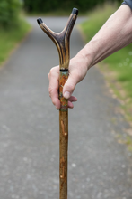 Load image into Gallery viewer, Red squirrel hand painted antler handle Thumbstick hiking stick country stick by Helen Elizabeth Studios