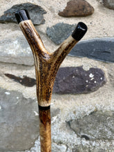 Load image into Gallery viewer, Hazel wood antler handled, handmade wooden walking sticks thumbsticks hiking sticks by Helen Elizabeth Studios