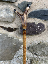 Load image into Gallery viewer, Hazel wood antler handled, handmade wooden walking sticks thumbsticks hiking sticks by Helen Elizabeth Studios