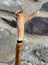 Load image into Gallery viewer, Hazel wood antler handled, handmade wooden walking sticks thumbsticks hiking sticks by Helen Elizabeth Studios