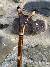 Load image into Gallery viewer, Hazel wood antler handled, handmade wooden walking sticks thumbsticks hiking sticks by Helen Elizabeth Studios