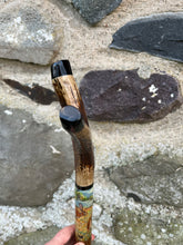 Load image into Gallery viewer, Mallard Hand Painted on Antler Handle Hazel Thumbstick by Helen Elizabeth Studios