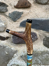 Load image into Gallery viewer, Kingfisher Hand Painted on Antler Handle Hazel Thumbstick by Helen Elizabeth Studios