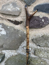 Load image into Gallery viewer, Hazel Wood Antler Handle Wading Staff Stick