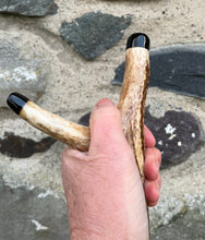 Load image into Gallery viewer, Peacock Displaying Painted on Antler Handle Hazel Thumbstick by Helen Elizabeth Studios