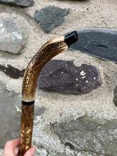 Load image into Gallery viewer, Hazel Wood Thumbstick with Antler Handle (R)