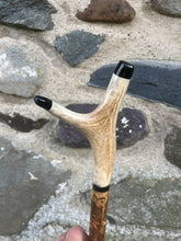 Load image into Gallery viewer, Hazel Wood Antler Handle Wading Staff Stick