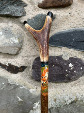 Load image into Gallery viewer, Two foxes- Hand Painted Hazel Antler Handled Thumbstick
