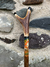 Load image into Gallery viewer, Two foxes- Hand Painted Hazel Antler Handled Thumbstick