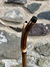 Load image into Gallery viewer, Hazel wood antler handled, handmade wooden walking sticks thumbsticks hiking sticks by Helen Elizabeth Studios