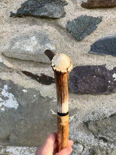 Load image into Gallery viewer, Hazel wood antler handled, handmade wooden walking sticks thumbsticks hiking sticks by Helen Elizabeth Studios