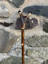 Load image into Gallery viewer, Hazel Wood Thumbstick with Antler Handle (K)