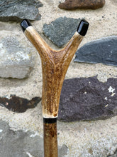 Load image into Gallery viewer, Hazel wood antler handled, handmade wooden walking sticks thumbsticks hiking sticks by Helen Elizabeth Studios