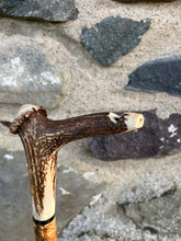 Load image into Gallery viewer, Hazel Wood Walking Stick with Antler Whistle Crown Handle (CC)