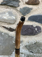 Load image into Gallery viewer, Hazel Wood Antler Handle Wading Staff Stick