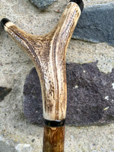 Load image into Gallery viewer, Hazel wood antler handled, handmade wooden walking sticks thumbsticks hiking sticks by Helen Elizabeth Studios